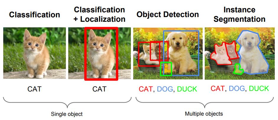고양이와 강아지를 AI가 판별하는 기능을 알고리즘 종류별로 분류한 그림 An illustration of AI's ability to distinguish between cats and dogs, broken down by algorithm type.