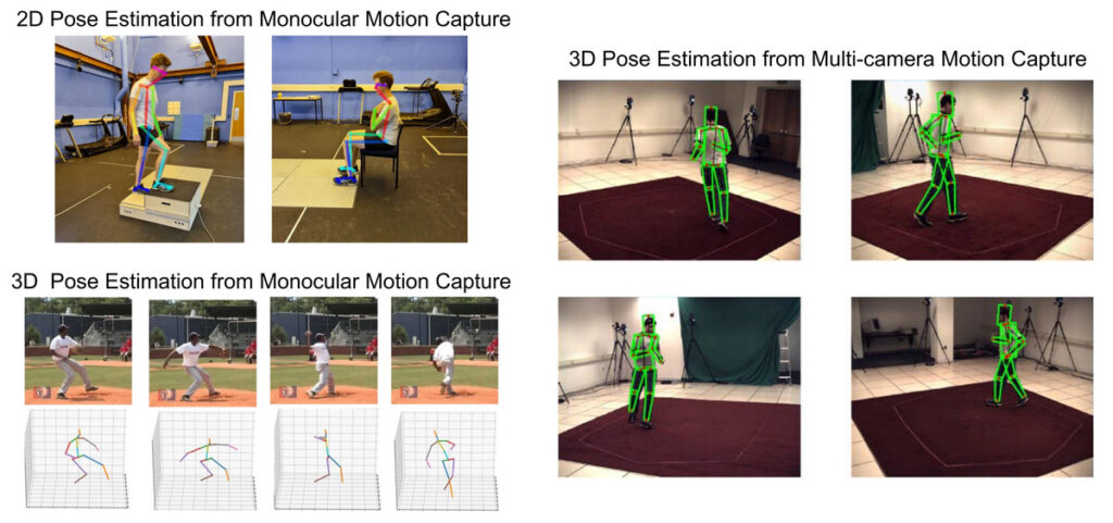 2D/3D 행동 모션 캡처. Image Credit : https://peerj.com/articles/12995/