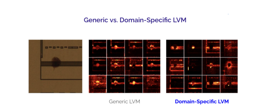 domain specific lvm_semiconductor